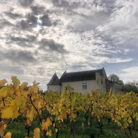 Evasion Fleurie St Emilion